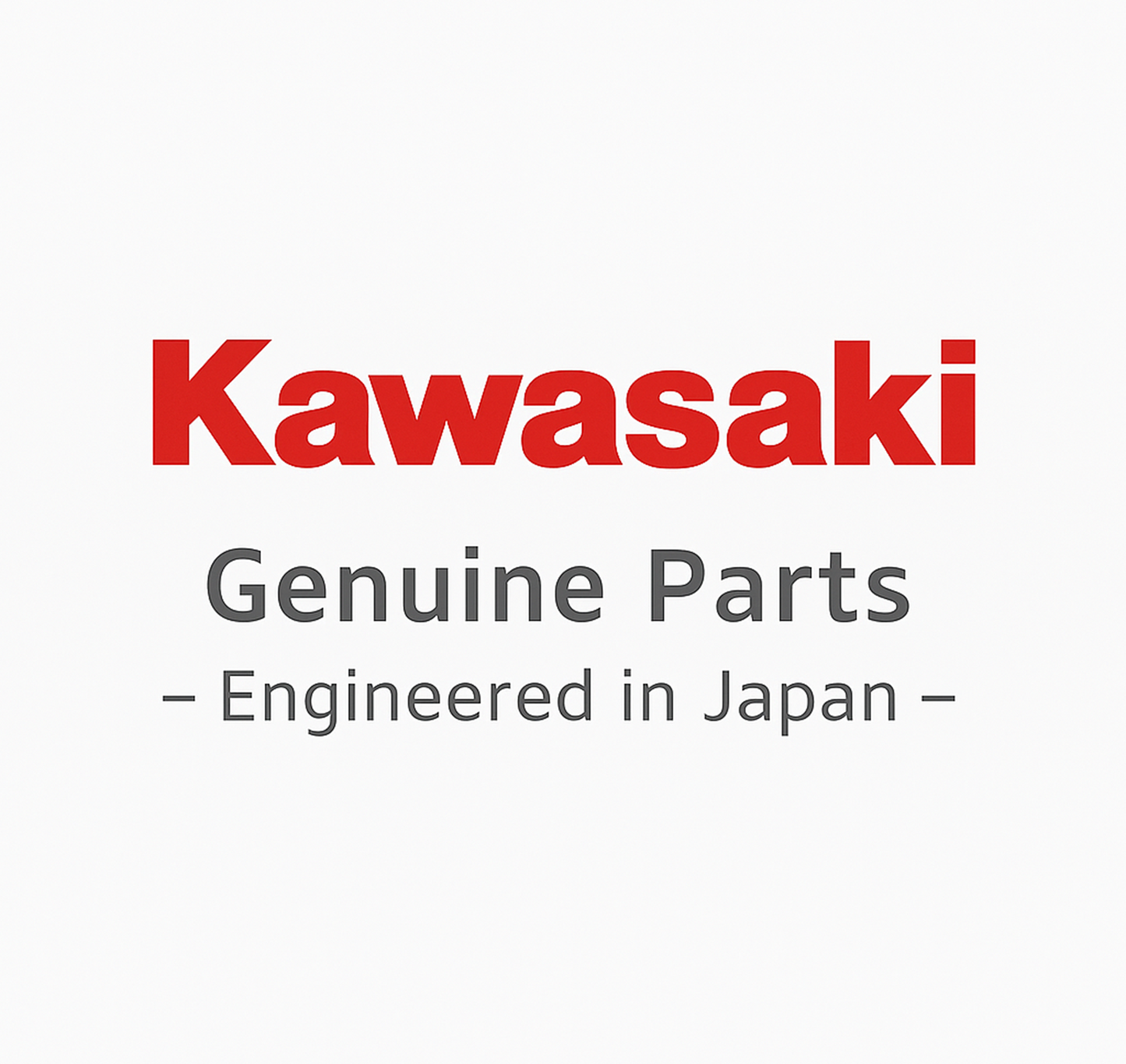 12004-0735 KAWASAKI Genuine Intake Valve JP